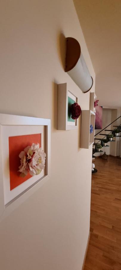 Leonardo Home Caserta Exteriér fotografie